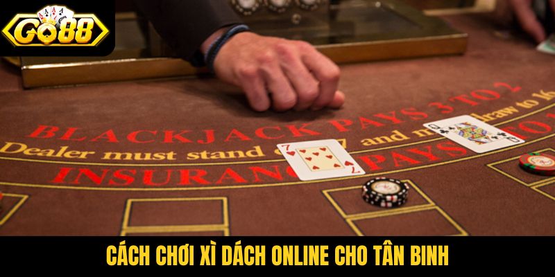 Cách chơi Xì Dách online cho tân binh